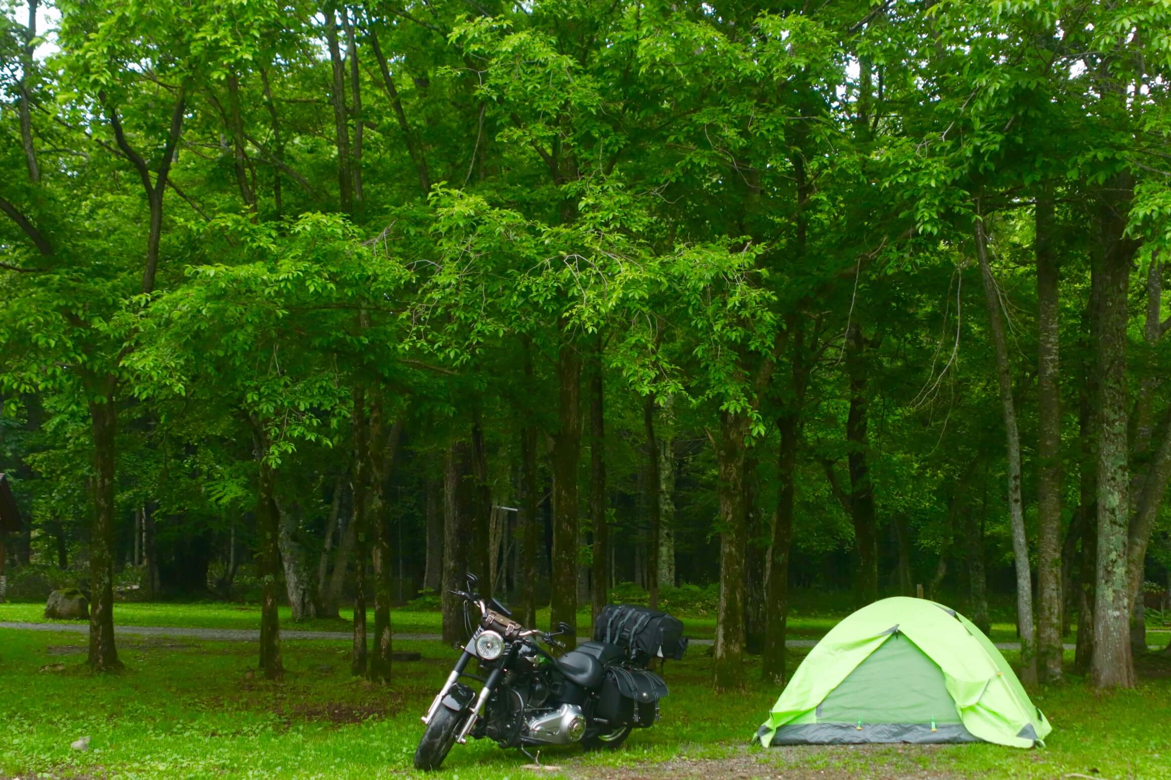 コロナ 北海道 キャンプ 場