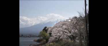 ヤマハSR400で富士五湖ツーリング。富士山を求めての撮影旅。