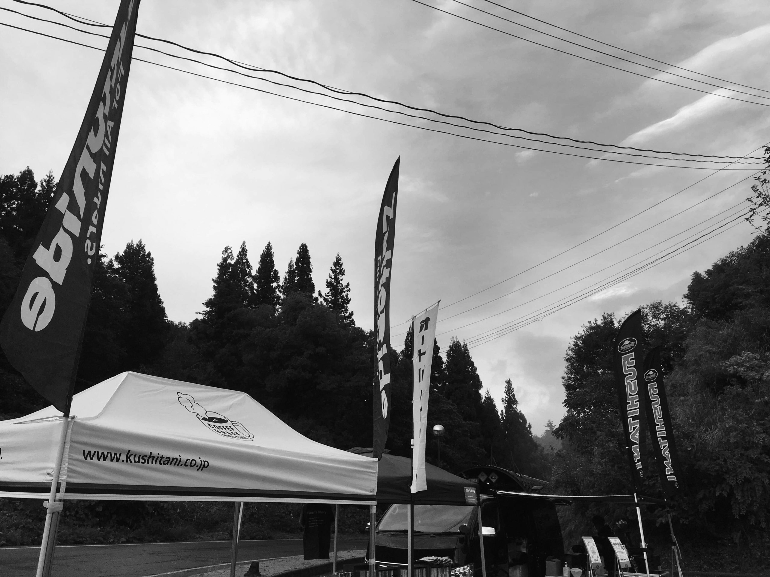 ryo！栃木市取りに来ていただける方 たけのこ狩り終了のお知らせ｜南房総いいとこどり